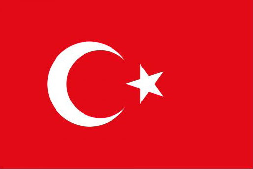 Z(y)g˾    Turkish