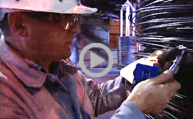 (lin)AM(mn)Fе·gҕl9