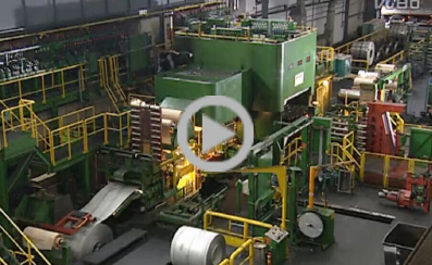 (lin)AM(mn)Fе·gҕl10